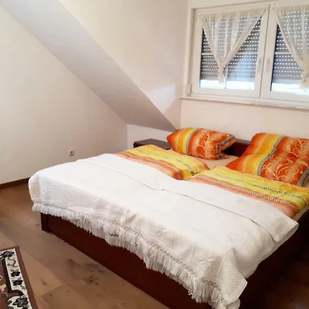 Appartement Farrenkopf Schneeberg (Bavaria)
